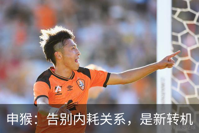 申猴：告别内耗关系，是新转机