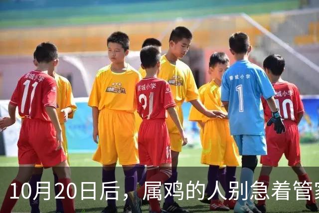 10月20日后，属鸡的人别急着管家里的事